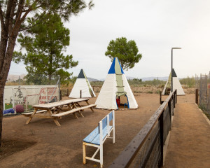 tipis